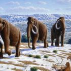 Klónozott mamutok Szibériában?